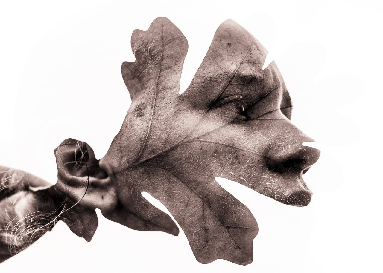 Portofoliu Cursanti